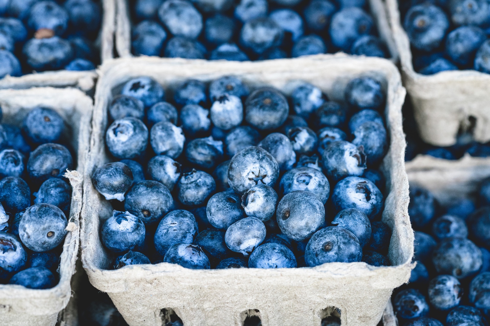 blueberries juicing