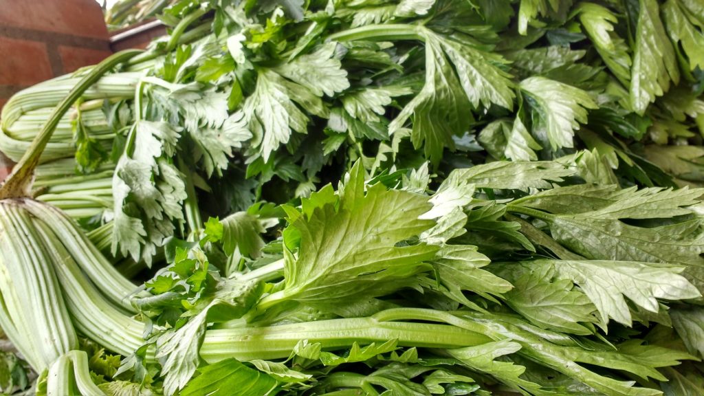 celery for inflammation