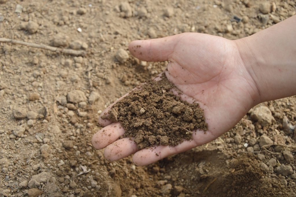 soil depletion mineral deficiency